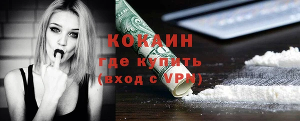 прущие грибы Беломорск