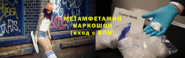 гидра Богданович