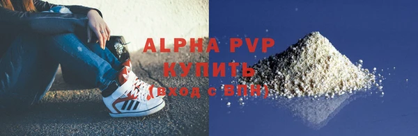 прущие грибы Беломорск
