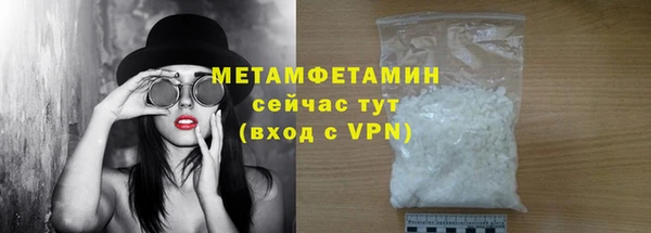 прущие грибы Беломорск