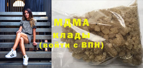 прущие грибы Беломорск