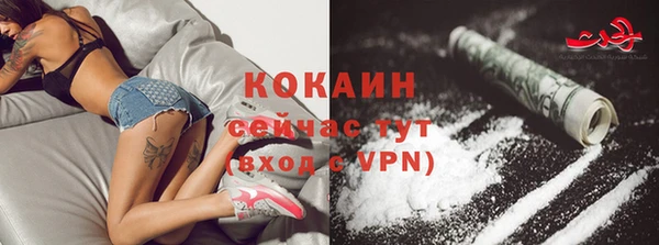 молекула духа Болхов