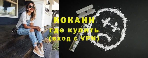 гидра Богданович